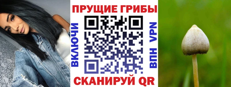 Псилоцибиновые грибы MAGIC MUSHROOMS  Нефтекамск 