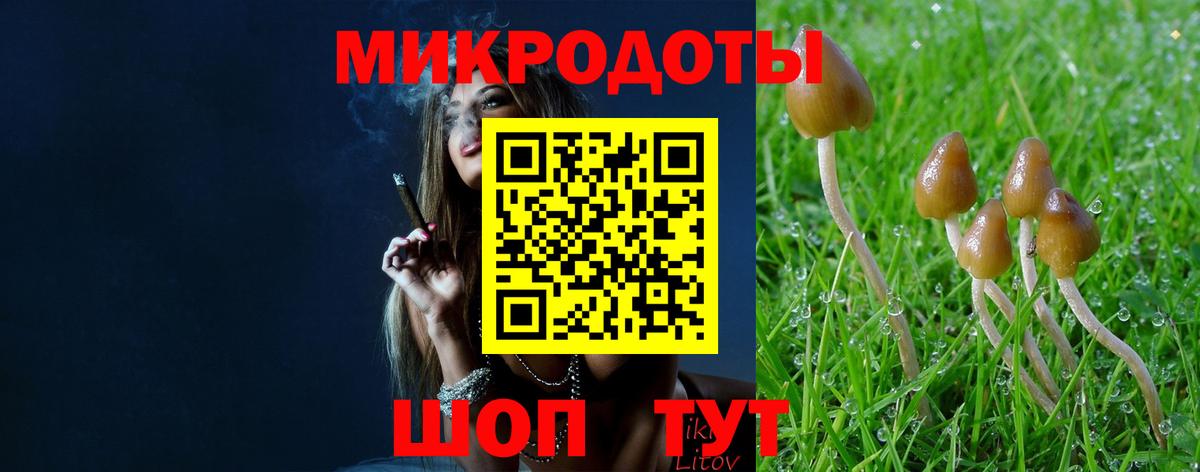 Галлюциногенные грибы мухоморы Нефтекамск